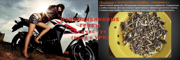 первитин Алексеевка