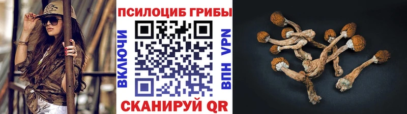 Галлюциногенные грибы мухоморы  Данилов 