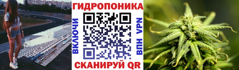 что такое наркотик  Данилов  кракен как войти  Бошки Шишки Bruce Banner 